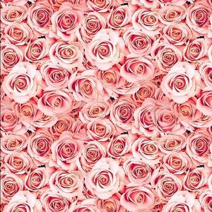 Meet your Posher, Nhia